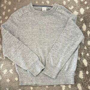 Crewcuts Boy’s Light Gray Crewneck Sweater